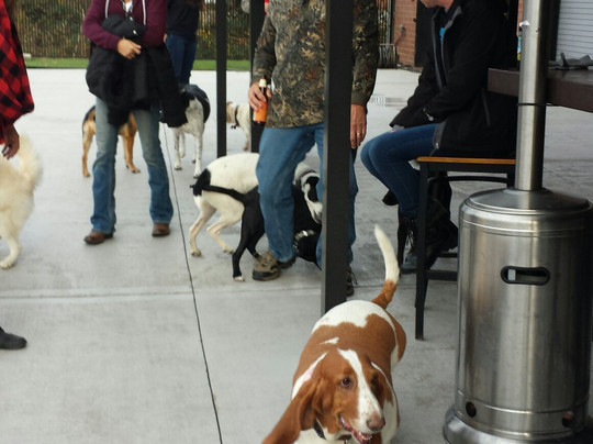 Lucky Dog Bark & Brew-科尼利厄斯必去景点