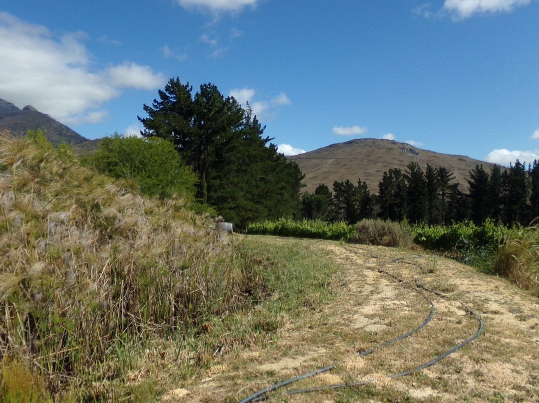 Mont Destin Wines-斯泰伦博斯必去景点