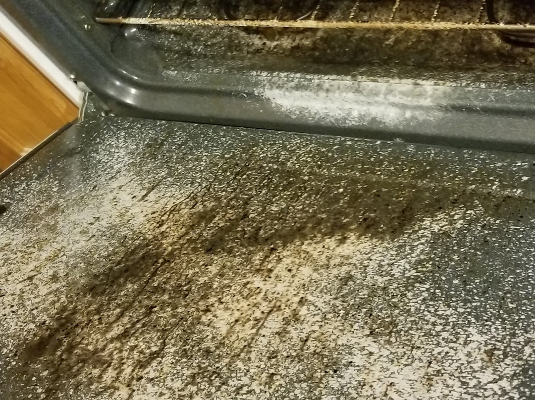 Magnolia Garden Inn & Suites主图