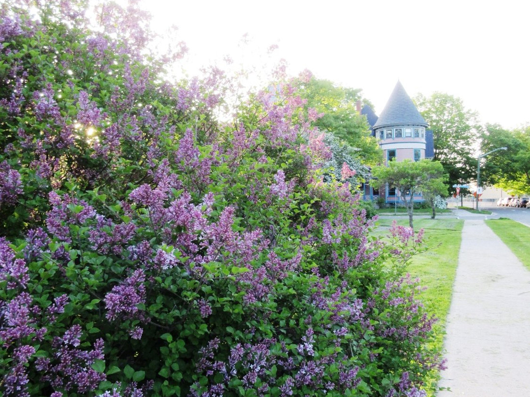 Gallery 78-弗雷德里克顿必去景点