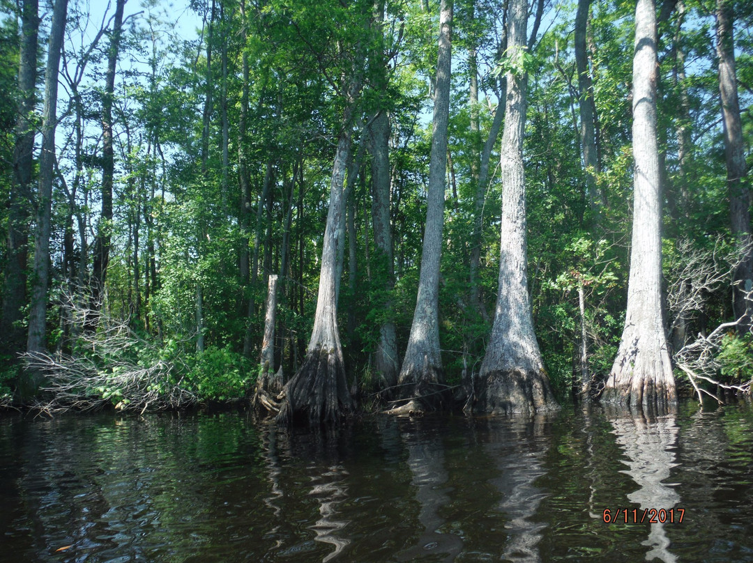 Northwest River Park景点图片