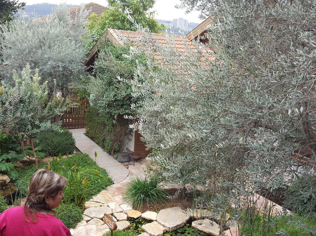 Etz VaMaim-Ein Kerem必去景点