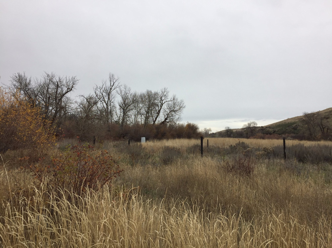 Cowiche Canyon Trail景点图片