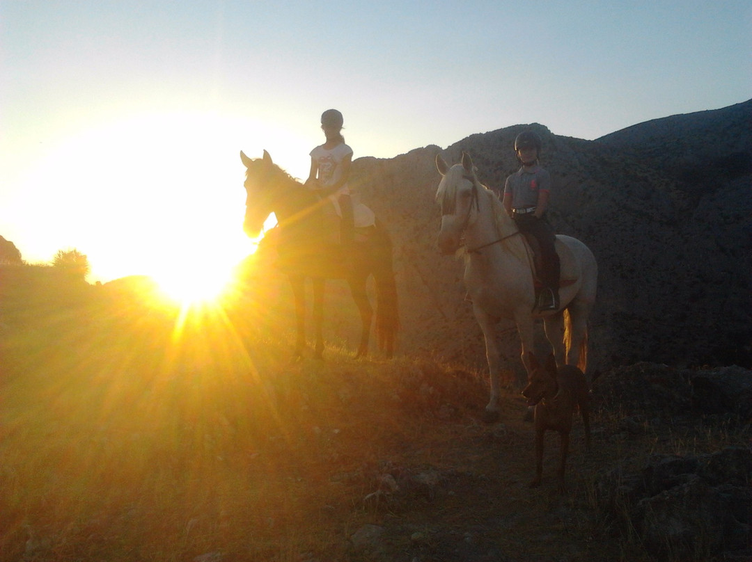 Horse Riding El Chorro景点图片