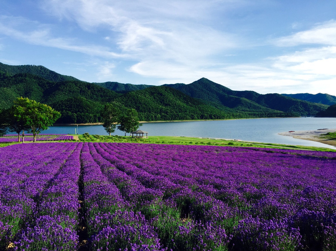 Lake Kanayama Forest Park-南富良野町必去景点