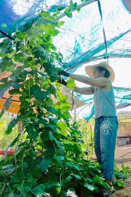 Rancho Sol y Mar-Mayto必去景点