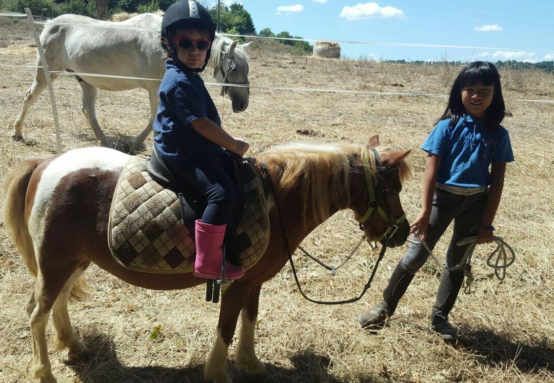 ASD Il Destriero-Buonconvento必去景点