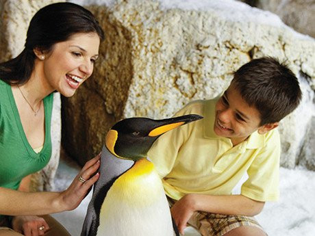 奥兰多海洋世界-奥兰多必去景点