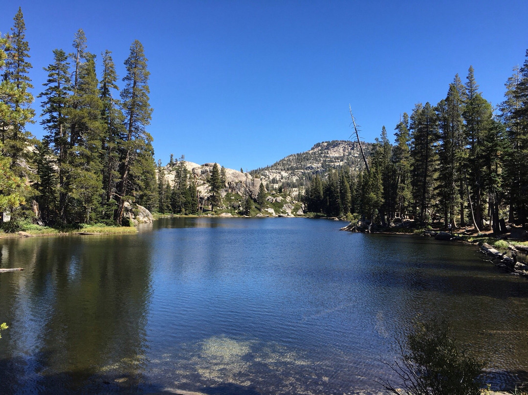 Aspen Meadows Pack Station景点图片