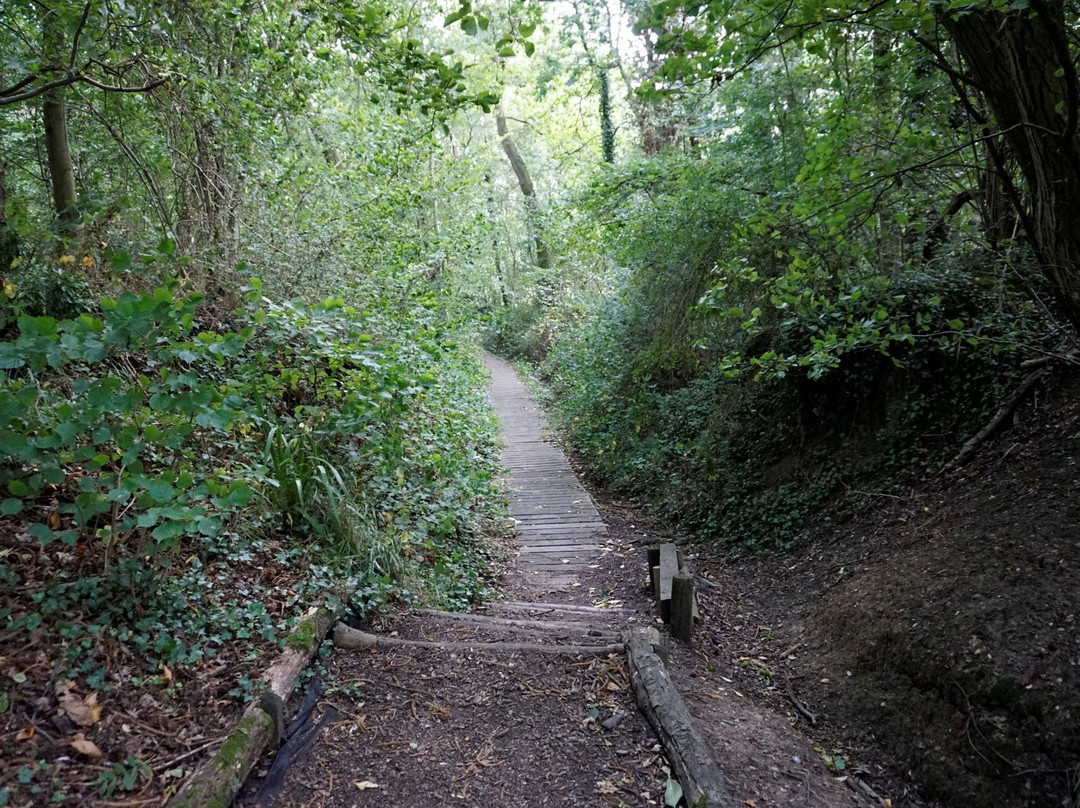 Beacon Wood Country Park景点图片