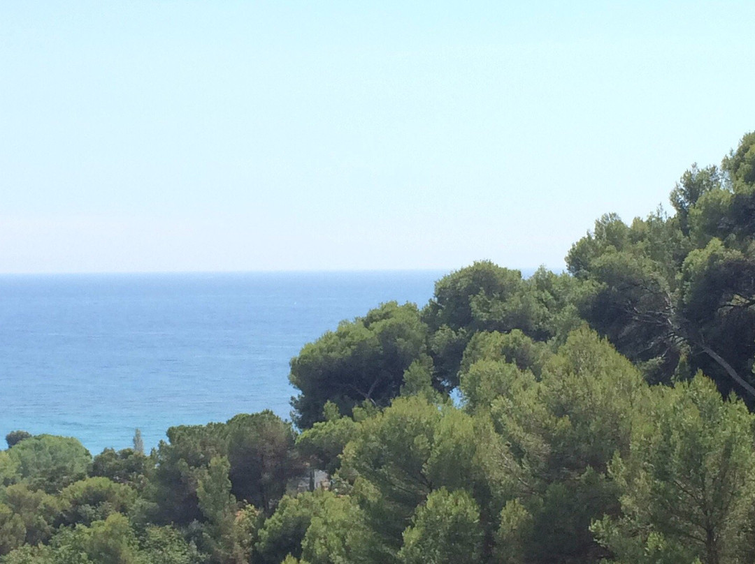 Latte Bellavista主图