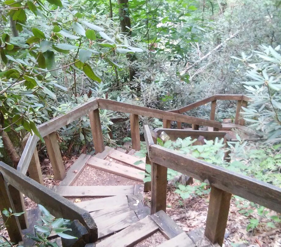 High Shoals Falls-Connelly Springs必去景点