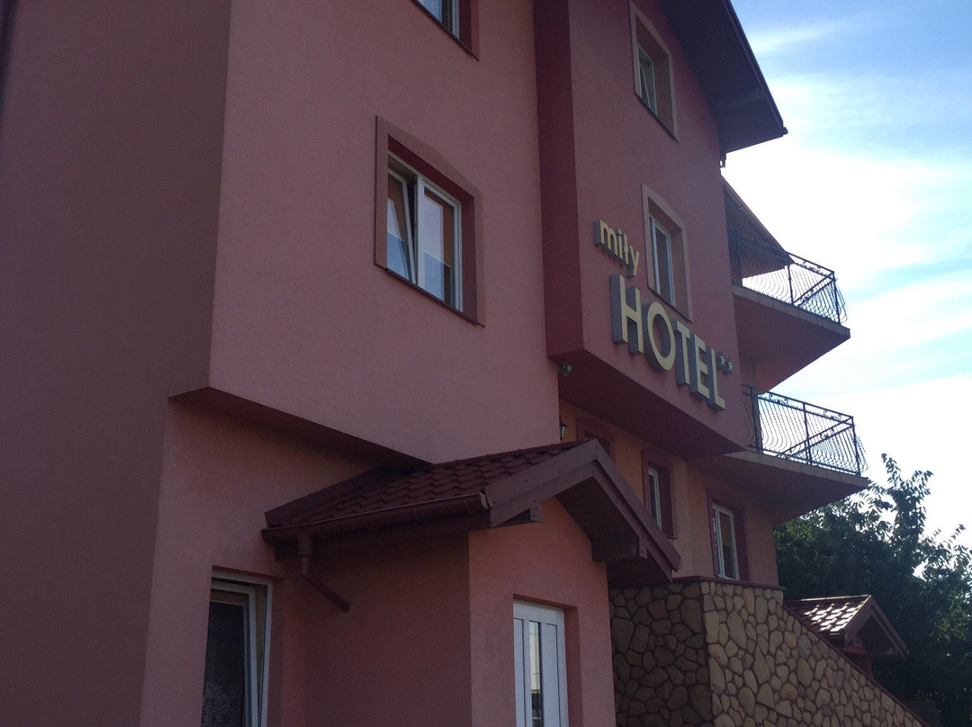 Hotel Mily主图