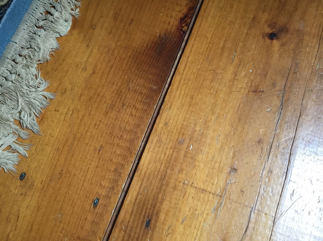 Hawk House Inn主图