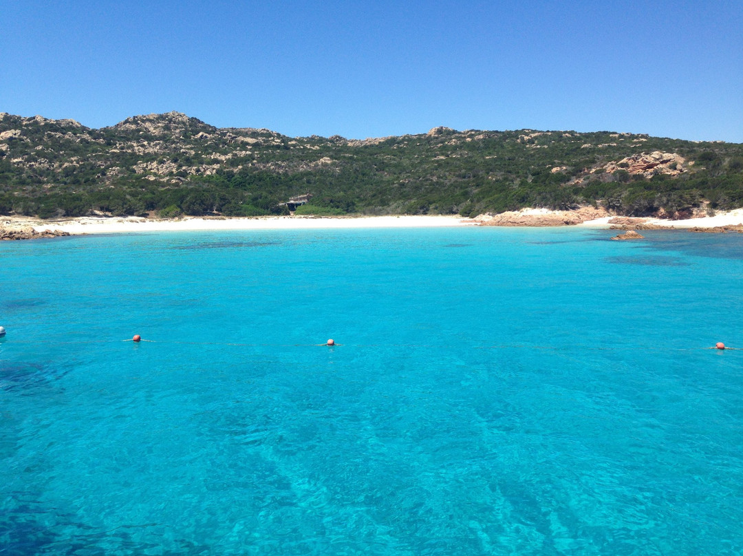 Spiaggia Rosa-Budelli必去景点