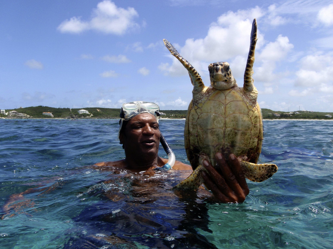 Junior's Glass-Bottom Boat-West End Village必去景点