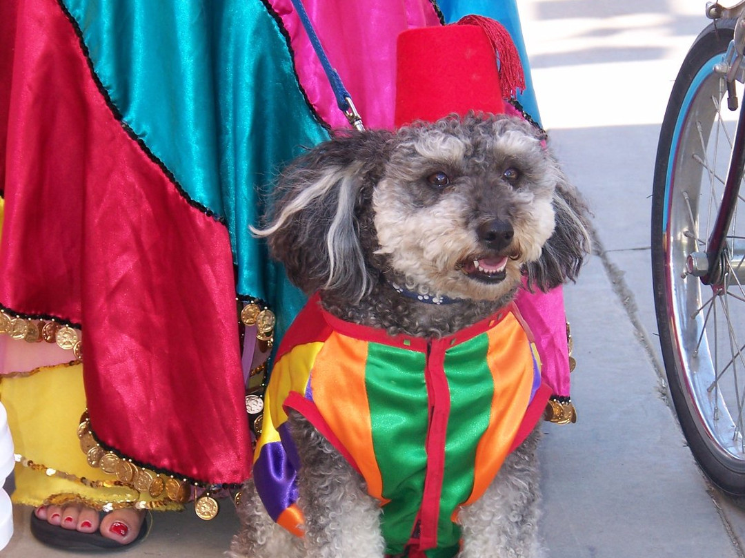 Santa Cruz County Fairgrounds-沃森维尔必去景点