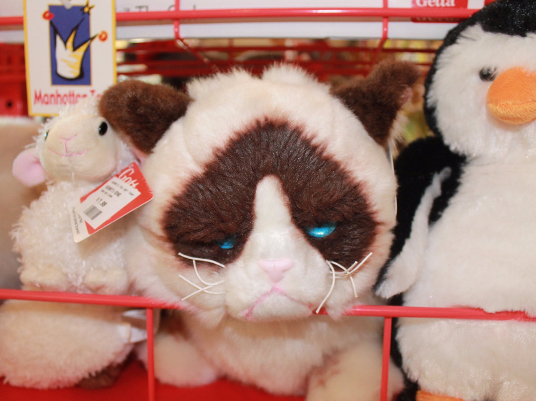 Where'd You Get That!?, Inc.-威廉斯敦必去景点