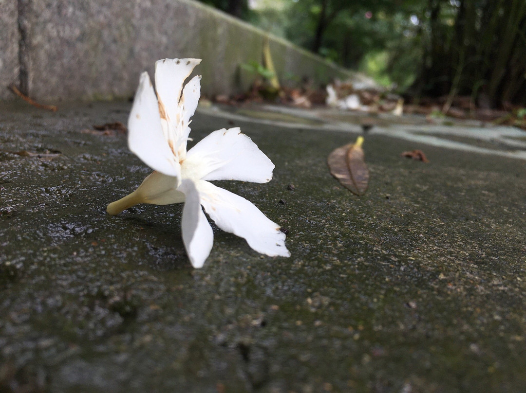 春晖中学-上虞市必去景点