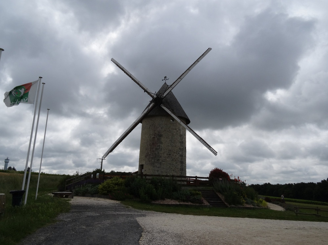 Office de Tourisme de Jonzac - Haute Saintonge景点图片