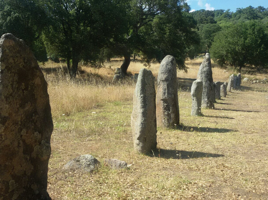 Menhir di Biru 'e Concas-Sorgono必去景点