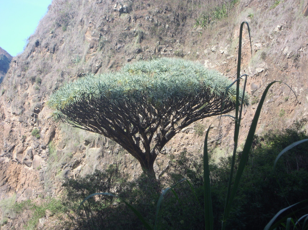 Pousada do Ceu主图
