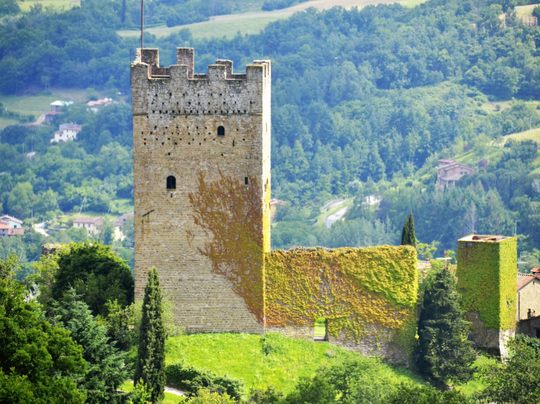 Castello di Porciano景点图片