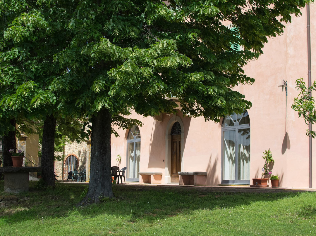 Azienda Agricola Torraiolo