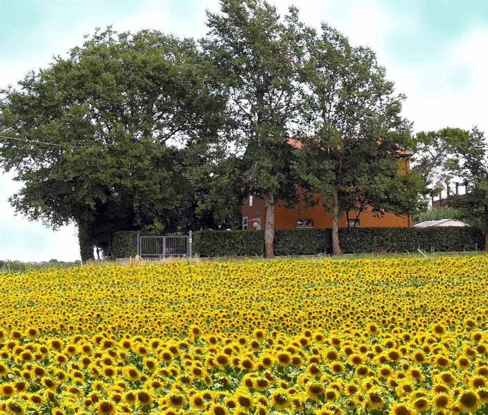 RedGekko Bed and Breakfast