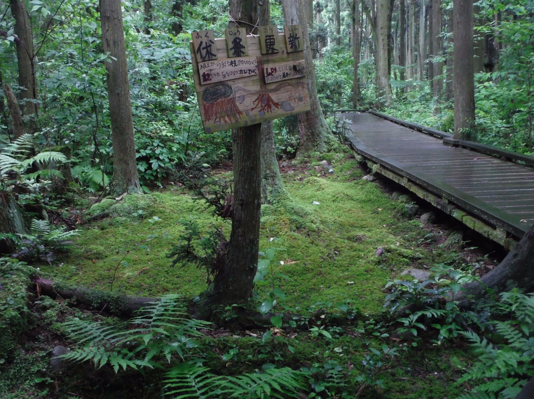 Sugisawa no Sawasugi-入善町必去景点