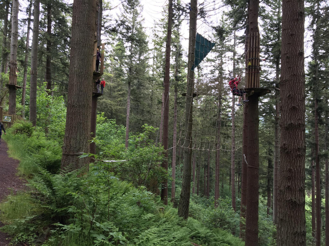 Go Ape Glentress Forest, Peebles-皮布尔斯必去景点