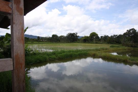 Tarawe Homestay-酒店景观