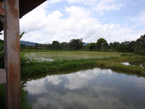 Bario酒店住宿-Tarawe Homestay