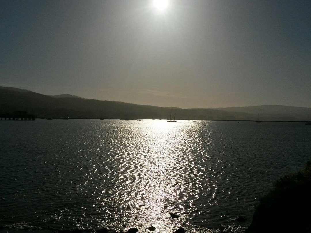 Mavericks Beach-半月湾必去景点