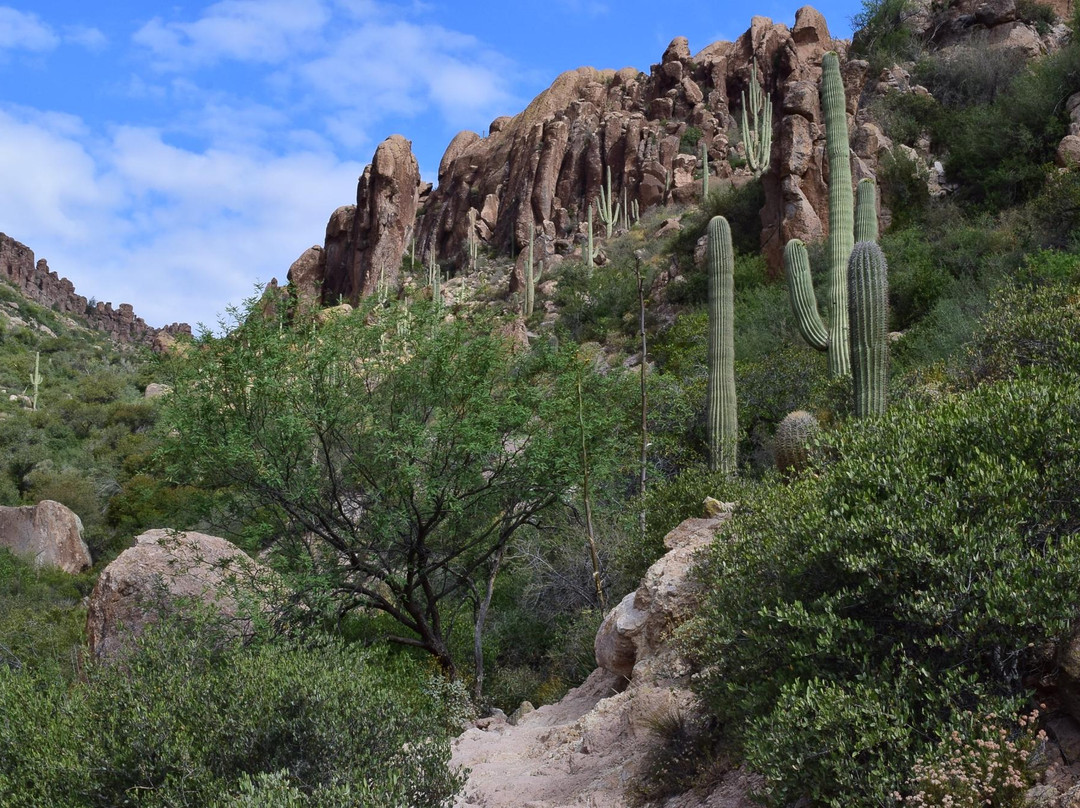 Peralta Canyon-Gold Canyon必去景点
