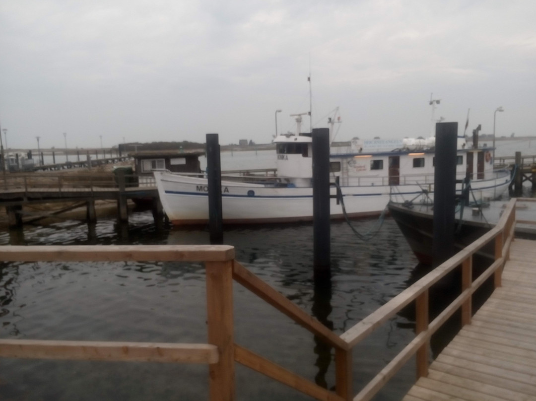 Heiligenhafen Ferienpark主图