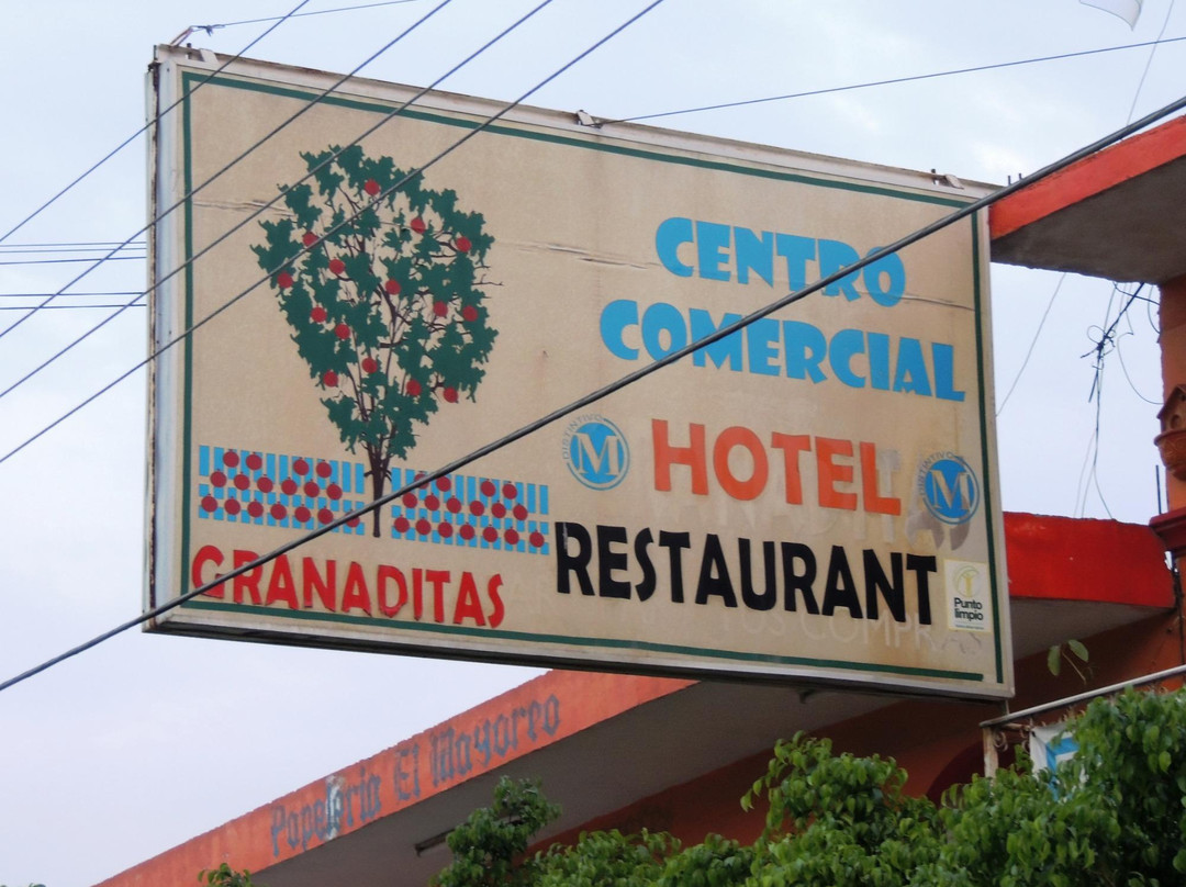 Hotel Granaditas主图