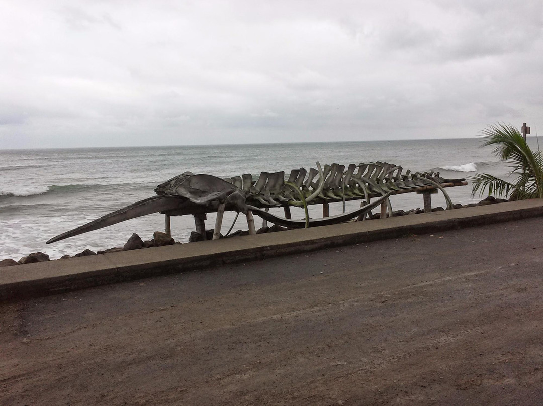 Playa Estero de Platano-Muisne必去景点