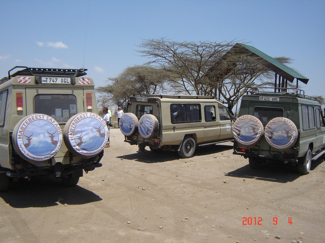 Hartebeest Safaris景点图片