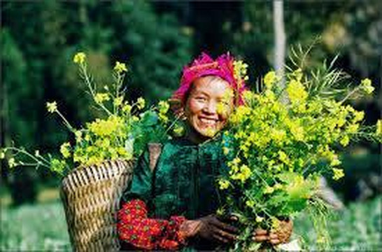 Airport Transfer-河内必去景点