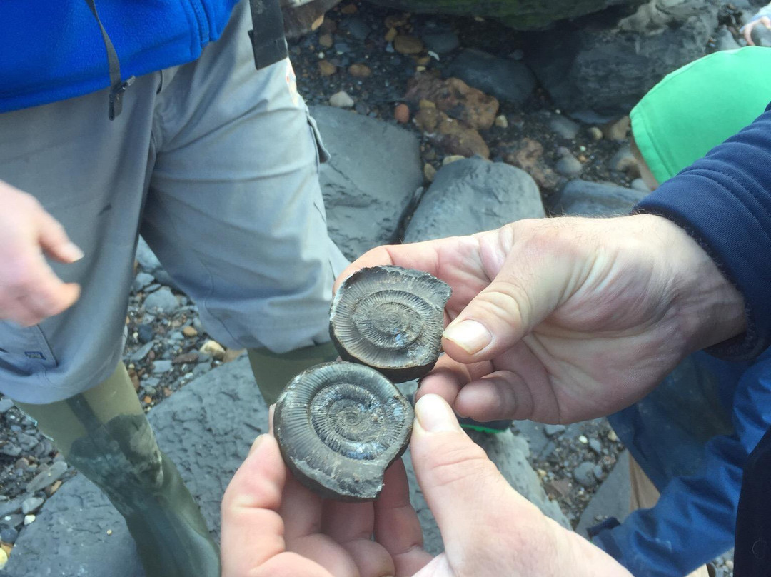 Hidden Horizons-斯卡伯勒必去景点