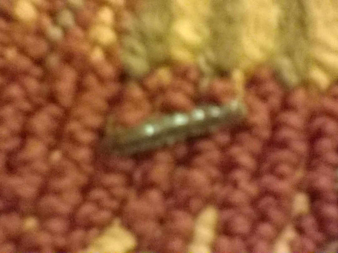 Bayside Inn & Suites