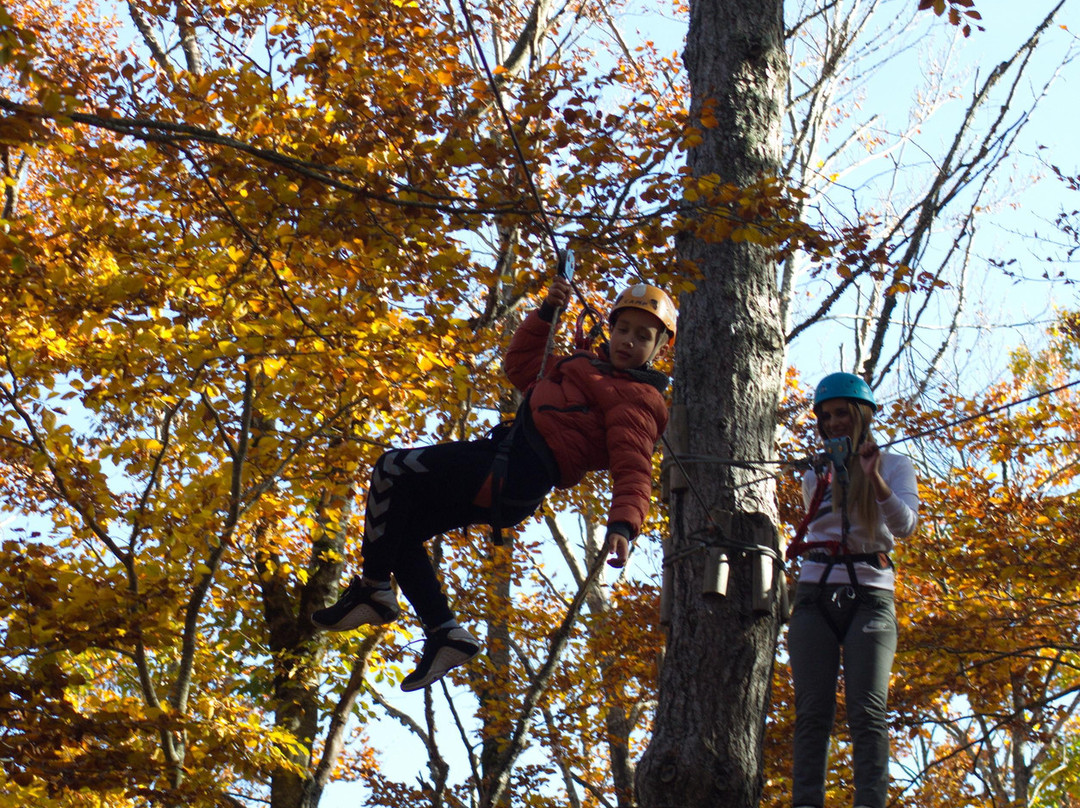 Adventure Park-Cetinje必去景点