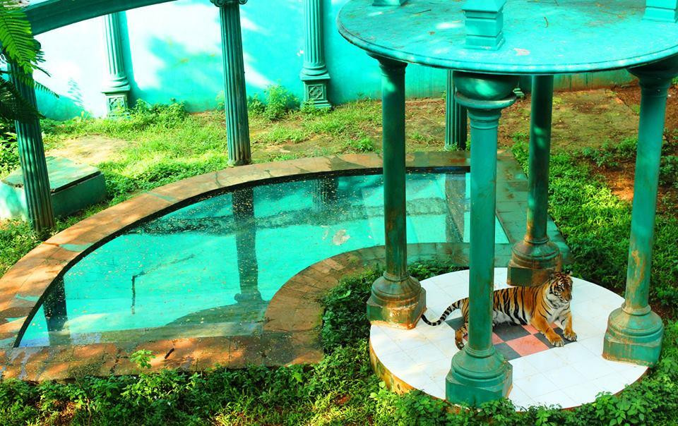 Maharani Zoo & Caves