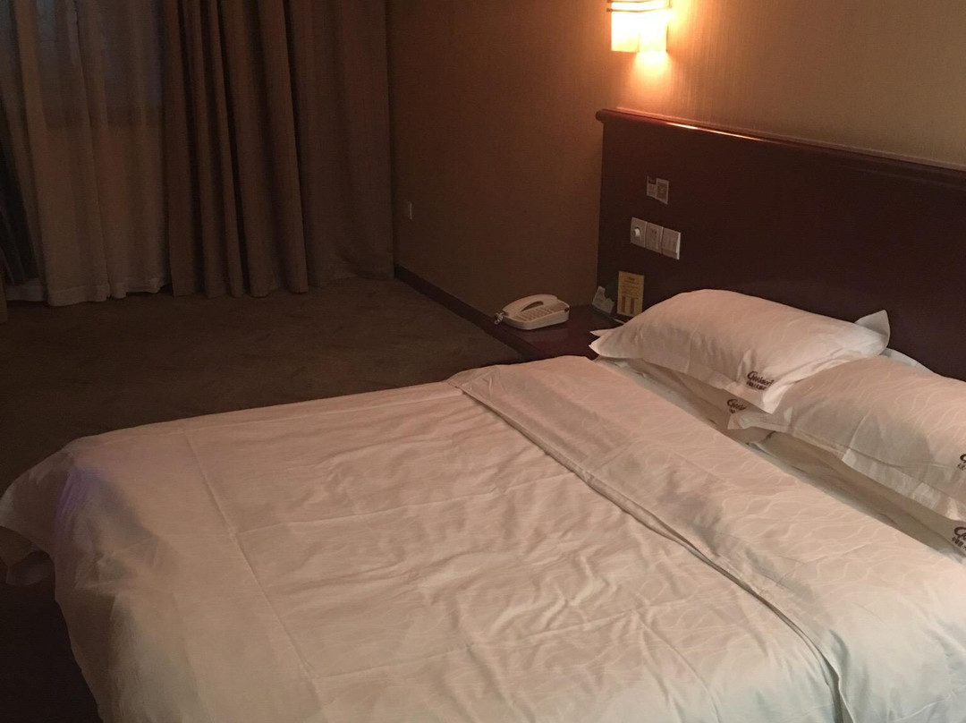 卡瑞登-天悦商务假日酒店