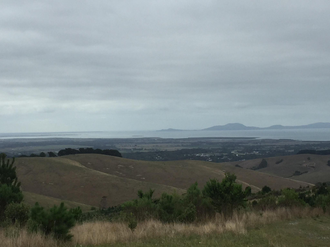 Foster North Scenic Lookout-福斯特必去景点