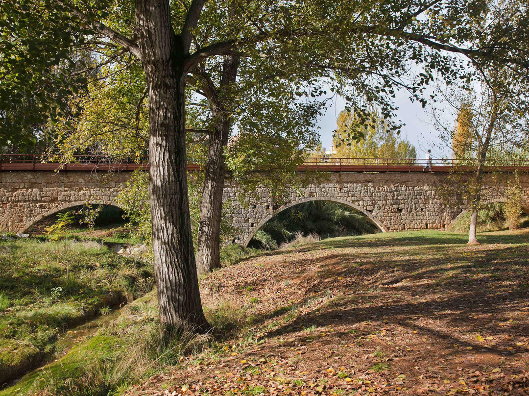 Pont de Can Vernet景点图片