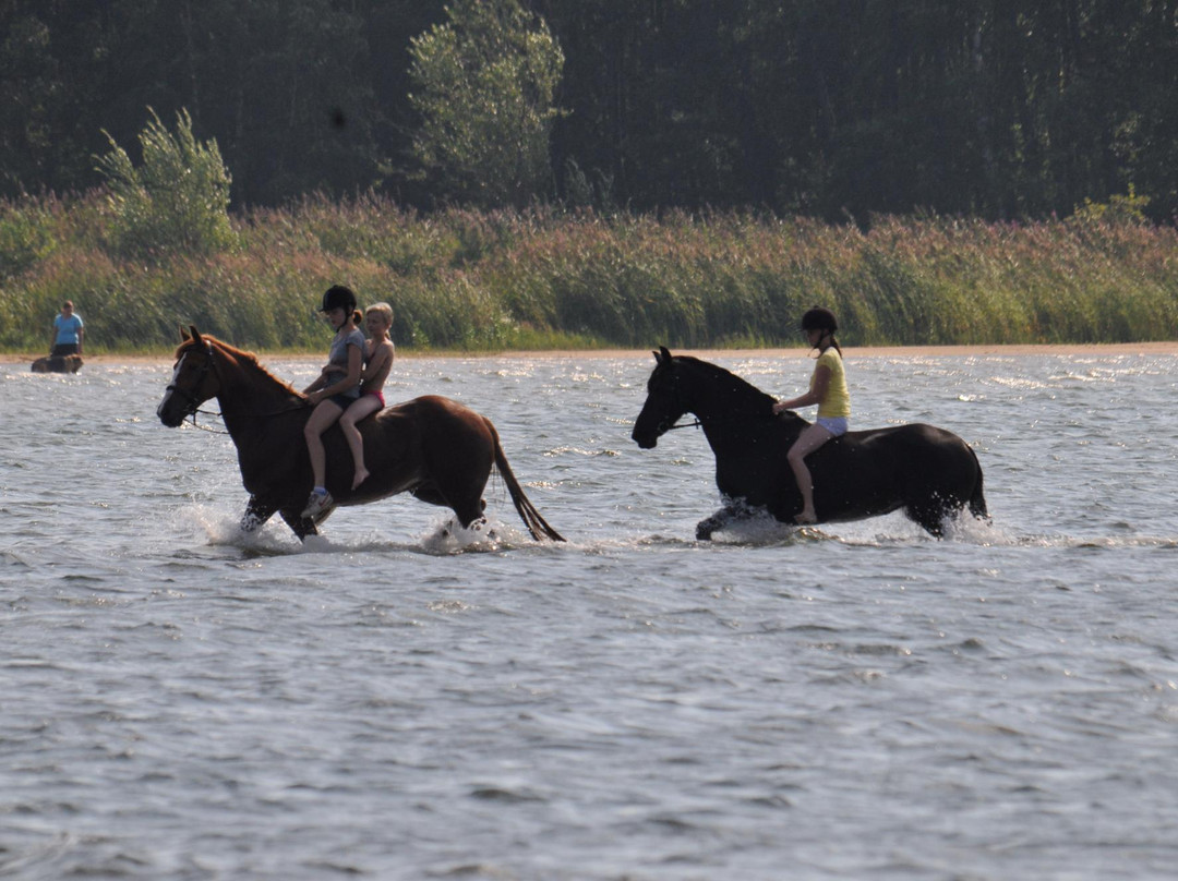 Herrainpaivat Beach