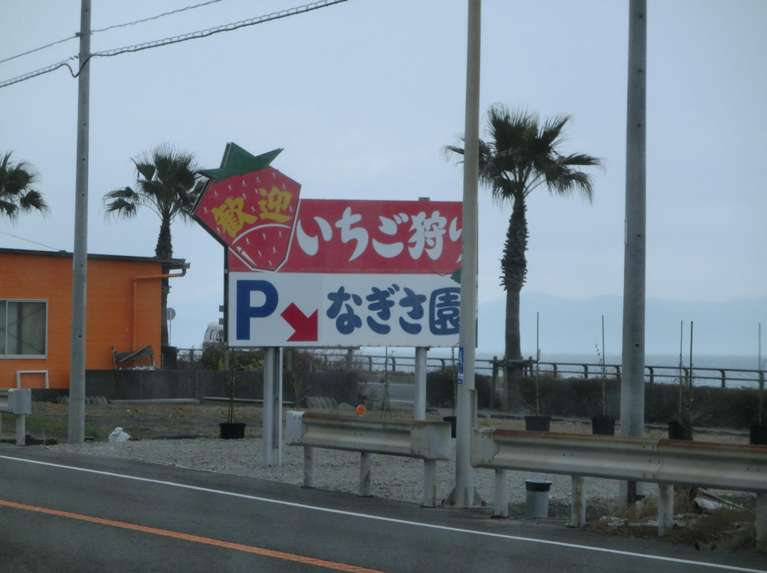 Ishigaki Strawberries景点图片