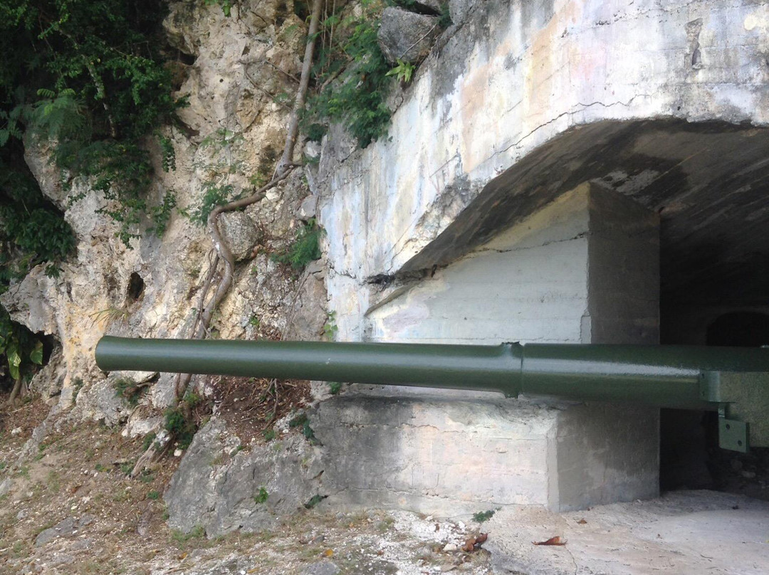 Old Japanese Cannon-Rota必去景点